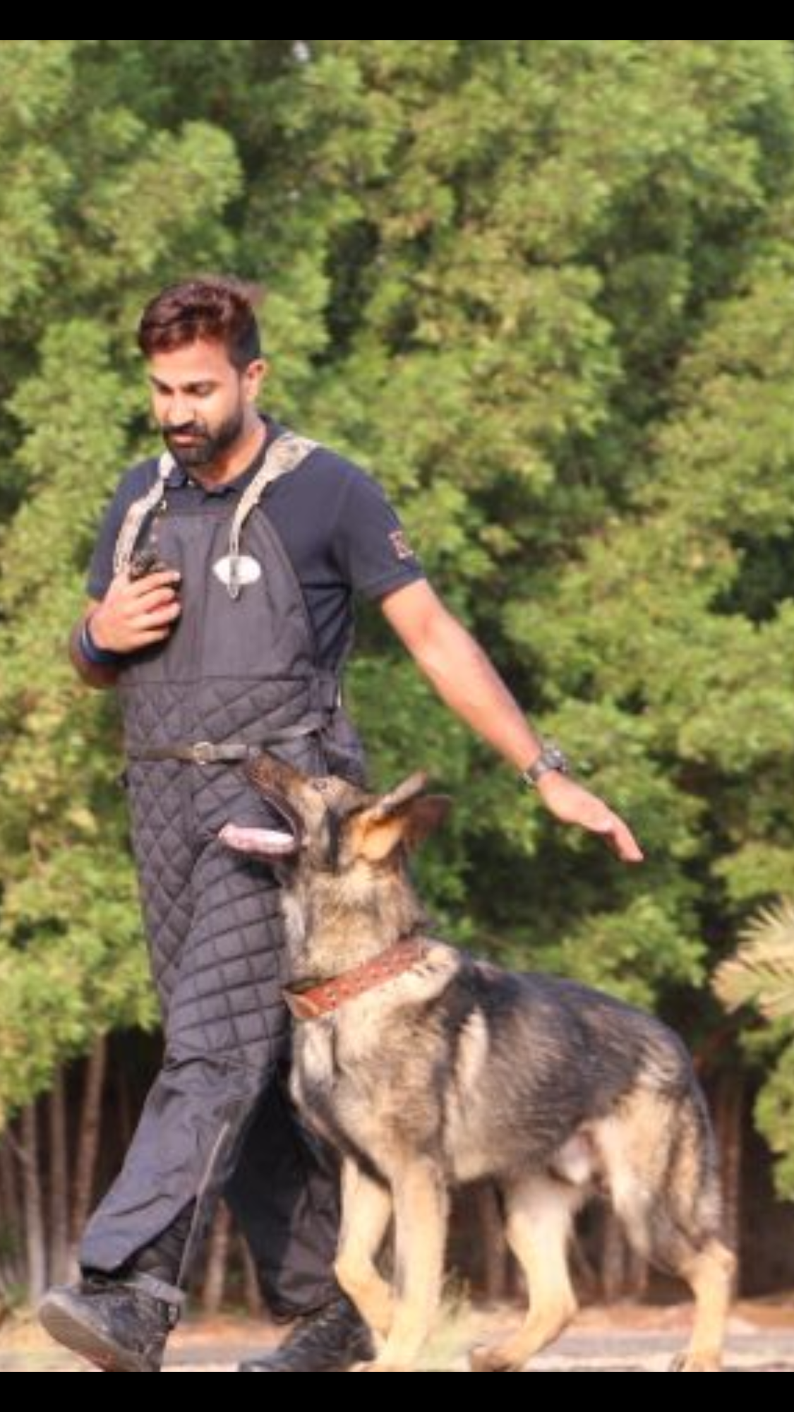 Professional K9 Trainer with security protection dog